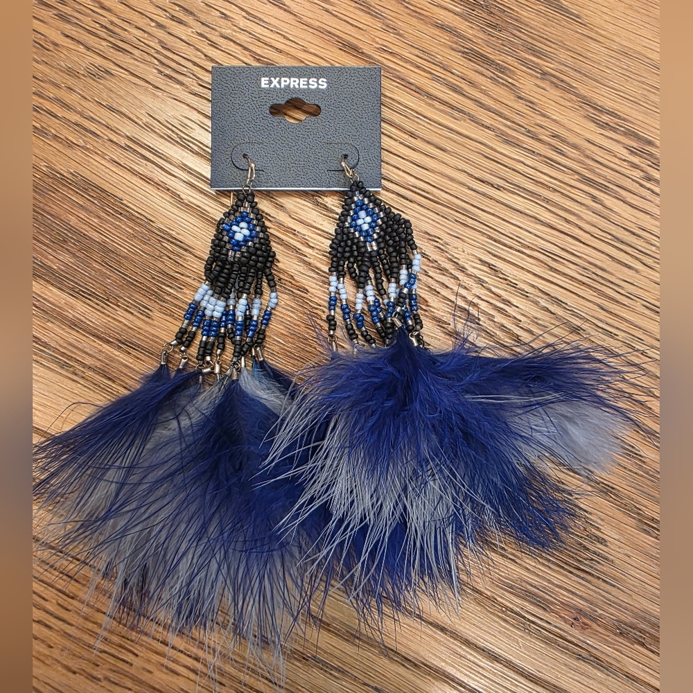Express Feather Earrings
